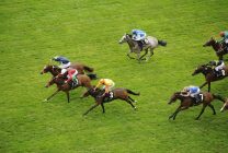 lucky 15 tips today four horse racing tips on monday 23rd may