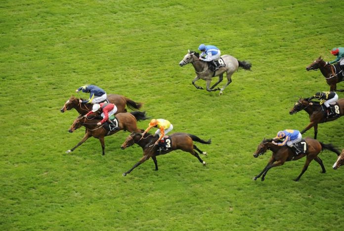 Today’s Lucky 15 Tips: Four Horse Racing Tips on Saturday 14th May