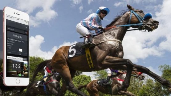 Best New Horse Racing Betting Sites for Aintree