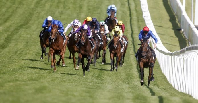 Epsom Derby odds and betting