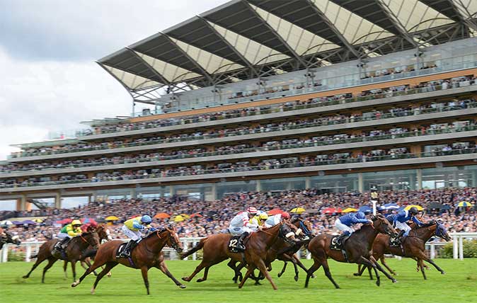 Shergar cup top jockey betting online investing in renewable energy in south africa