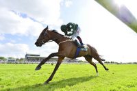 Antepost tips from the 2022 Irish Oaks betting include Cairde Go Deo