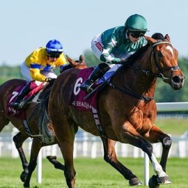 Nashwa goes odds-on favourite for the Nassau Stakes at Glorious Goodwood