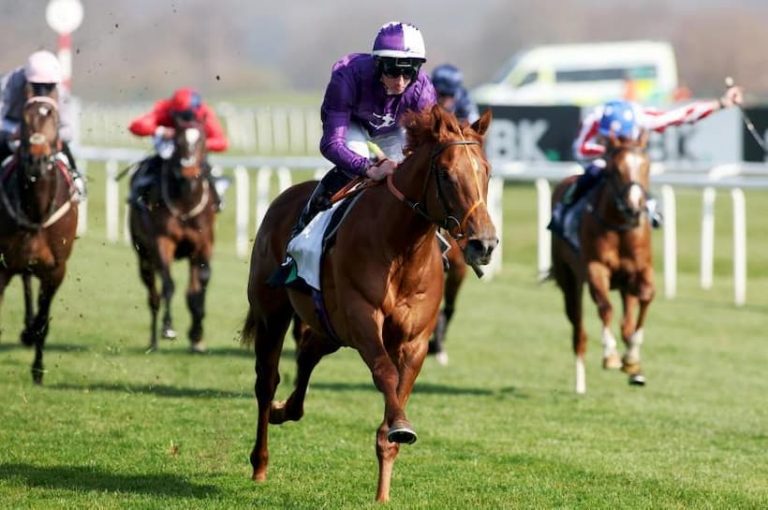 Coronation stakes 2022 betting websites is amazon going to use bitcoin