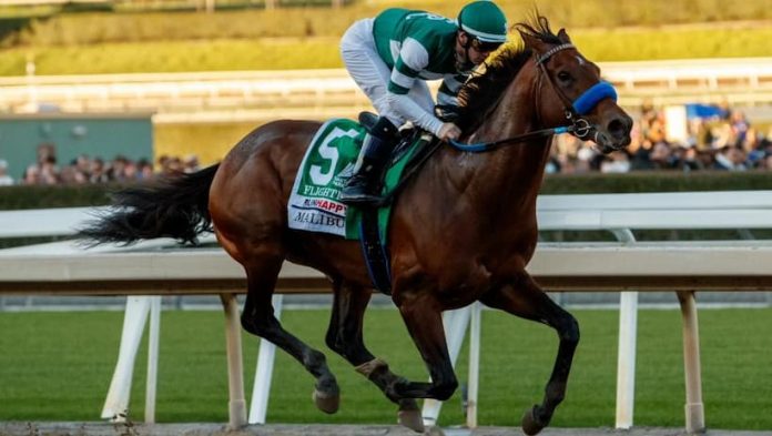 Breeders’ Cup Classic 2022: Betting, Runners & Keeneland Picks thumbnail