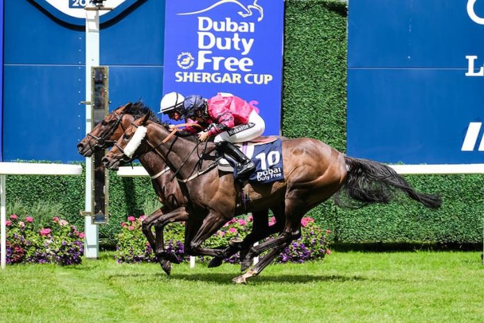 Ascot Racing Tips & Trends | Shergar Cup Bets, Sat 6th Aug 22