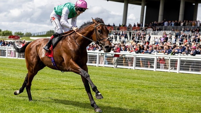 Westover is another not going for the 2022 Doncaster St Leger