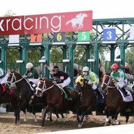 horse racing free bets for pennsylvania derby 2023 claim 4250 betting offers
