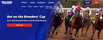 BUSR Horse Racing - FL sports betting site