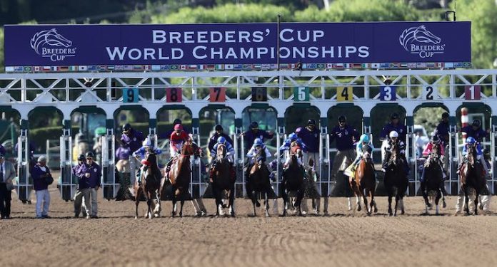 Best Breeders Cup Betting Sites In Oregon Oregon Sports Betting Guide For Horse Racing