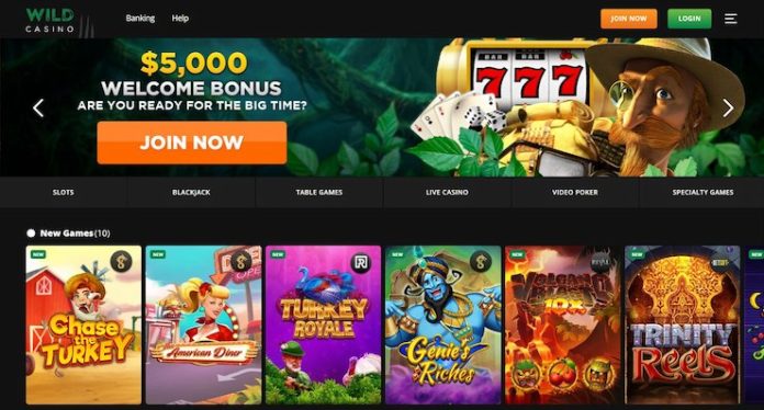 Wild casino homepage