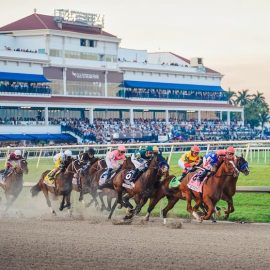 Bet On Pegasus World Cup 2024