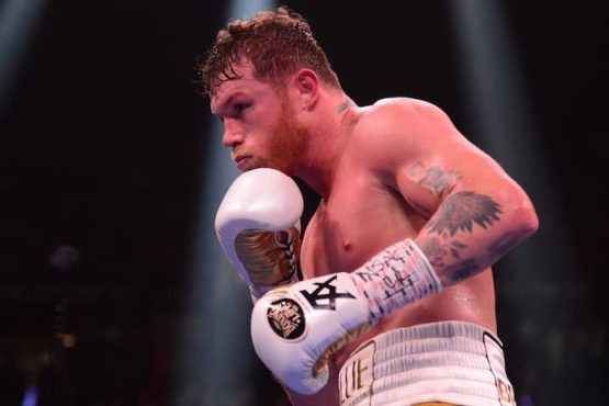 Canelo Boxing Record: 'Canelo' Is A Four-Weight World Champion