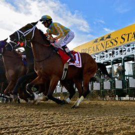 preakness stakes
