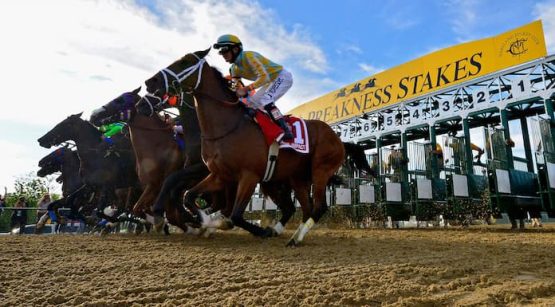 preakness stakes