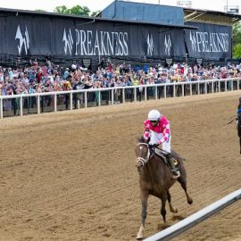 preakness stakes new