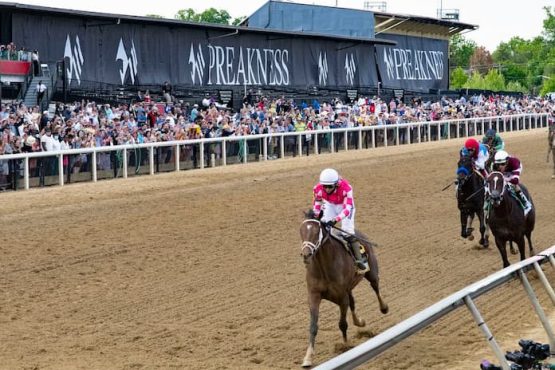 preakness stakes new