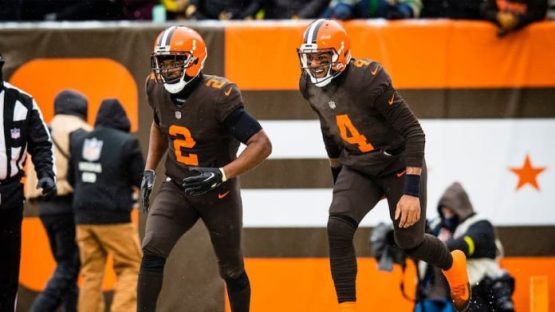 Amari Cooper and Deshaun Watson pic