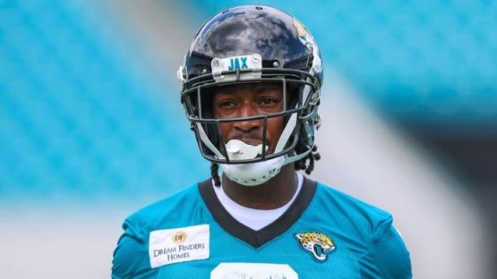 Calvin Ridley Jaguars pic