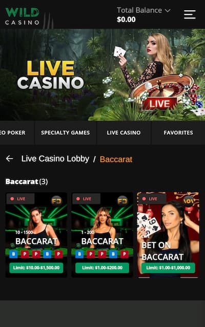 Wild Casino games and software