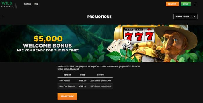 Wild Casino Welcome bonus
