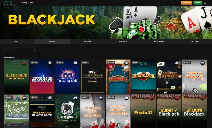 wild casino blackjack 1