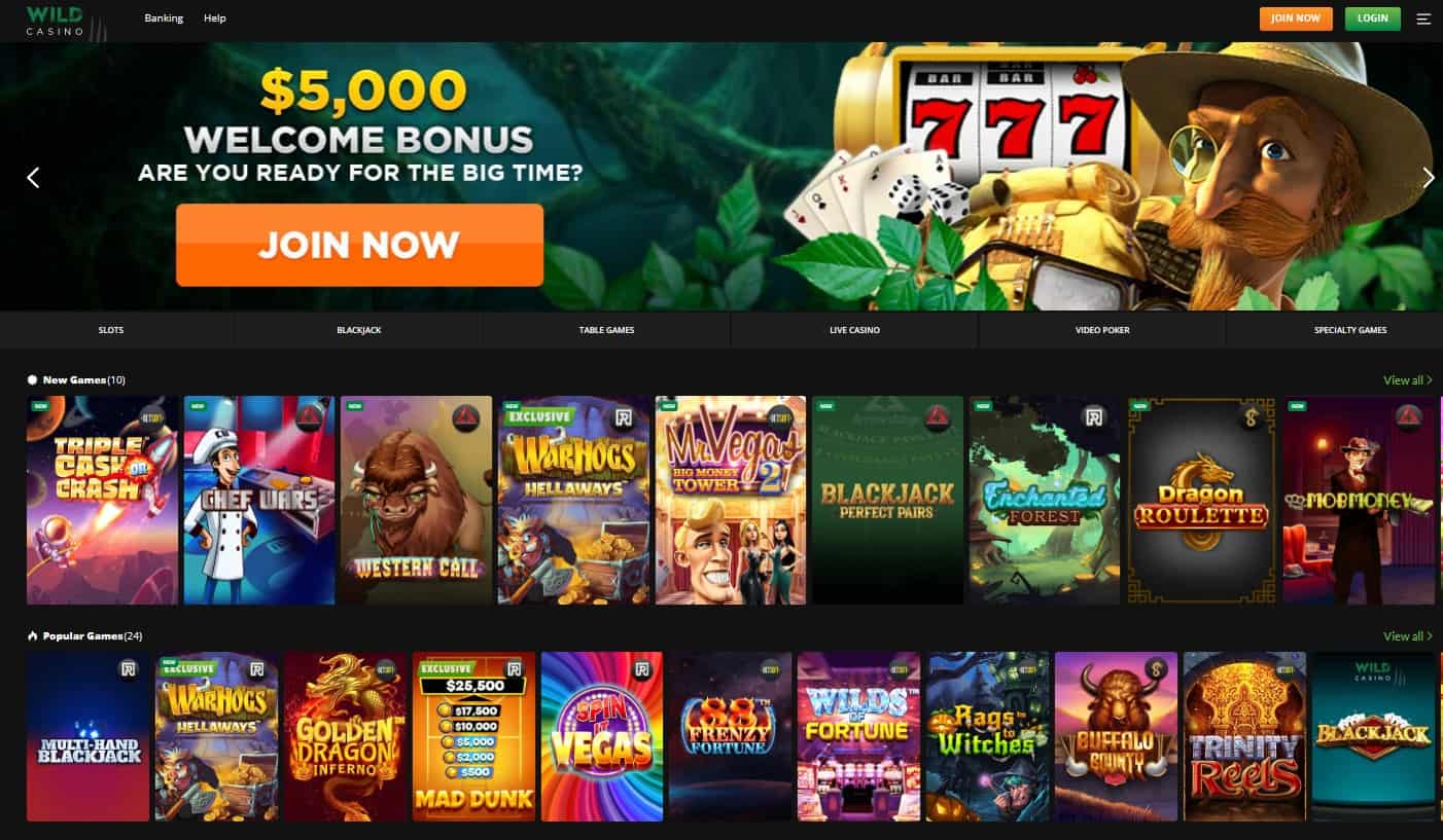 wild casino home page 