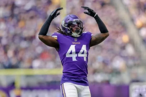 Josh Metellus Vikings pic