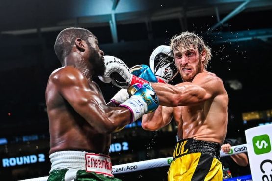 Logan Paul vs Dillon Danis Boxing