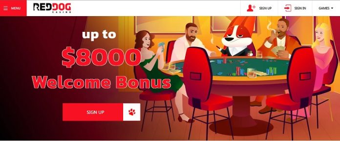 Play Online Slots for Real Money Red Dog Casino