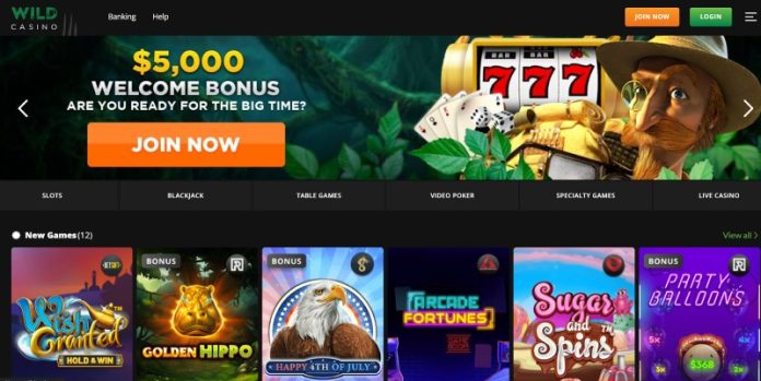 Play Online Slots for Real Money Wild Casino