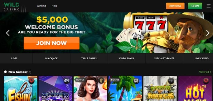 New Hampshire Online Gambling Wild Casino homepage