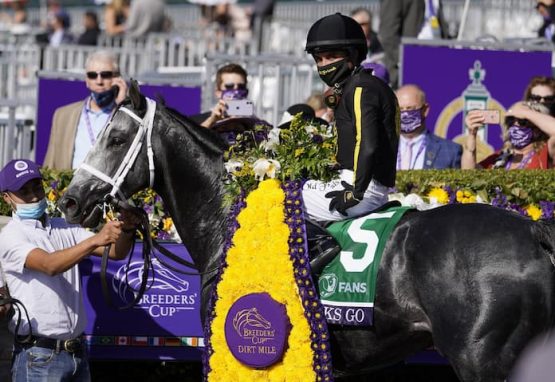 Breeders' Cup Prize Purses