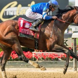 Cody's Wish Odds For Breeders' Cup