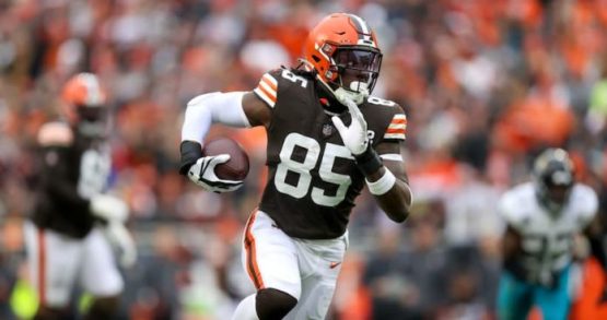 David Njoku Browns pic