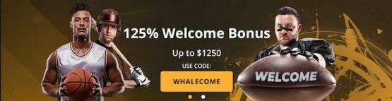 BetWhale sportsbook welcome offer