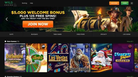 Wild Casino West Virginia Online Casinos