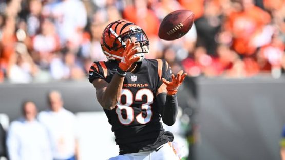 Tyler Boyd Bengals pic