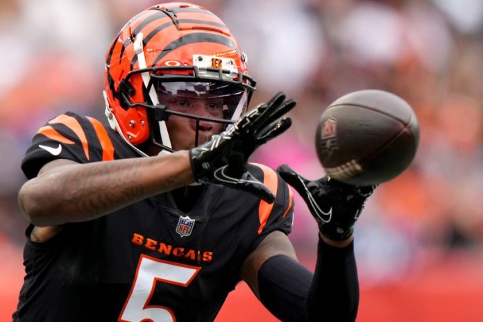 Tee Higgins Bengals pic