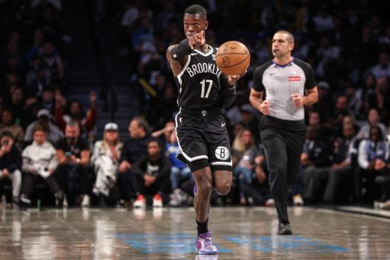 Dennis Schroder Nets pic