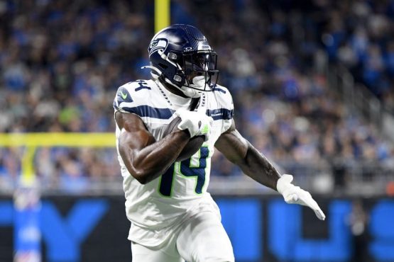 D.K. Metcalf Seahawks pic