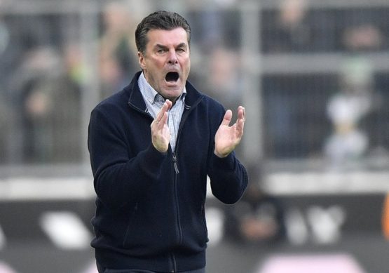 Dieter Hecking