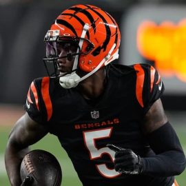 Tee Higgins Bengals pic