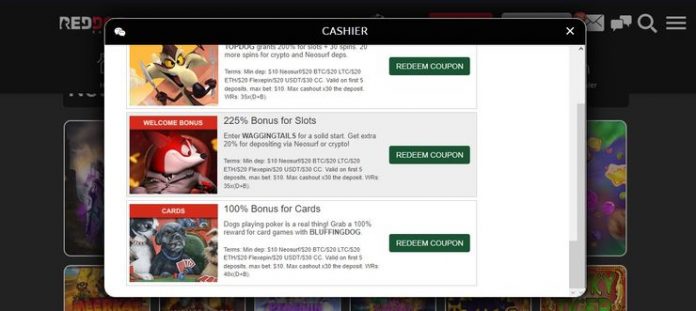 Red Dog Casino bonus codes screen