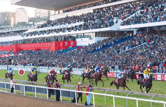 Durban july runners and bettingadvice week 14 betting lines 2022 nfl
